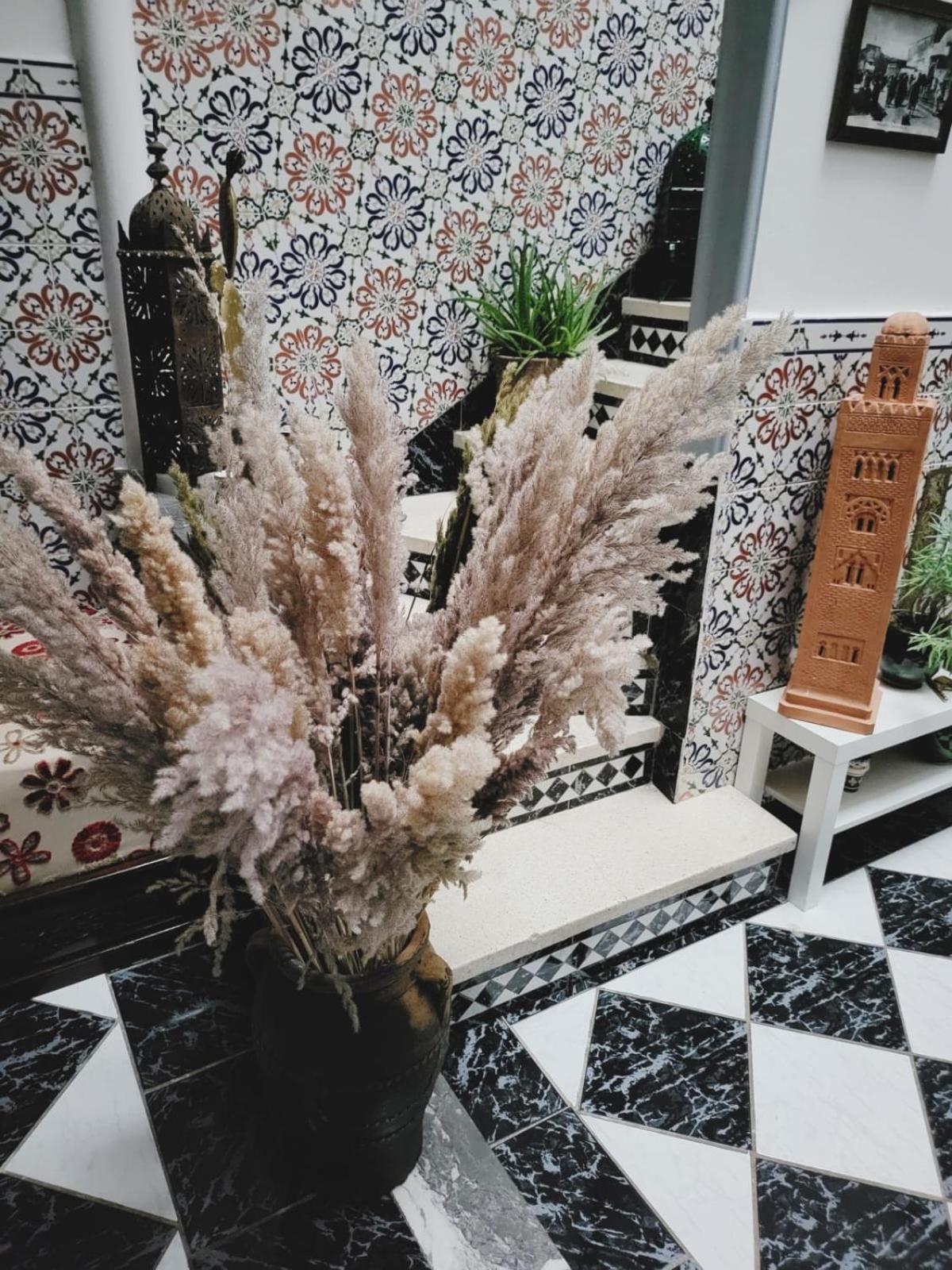 Riad Traditionnel De Charme 3 Chambres 马拉喀什 外观 照片